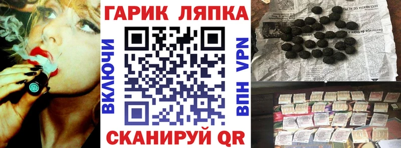 Купить где Кудрово ГАШ гарик