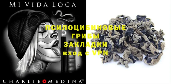 PSILOCYBIN Куйбышев