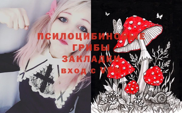 PSILOCYBIN Куйбышев
